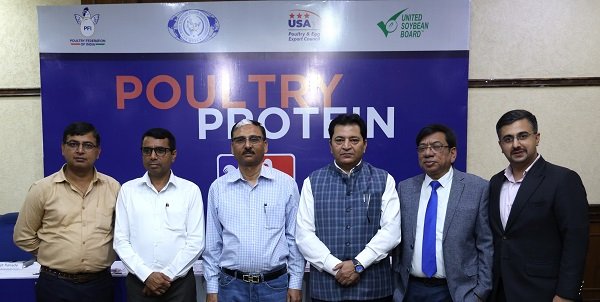 Poultry Protein